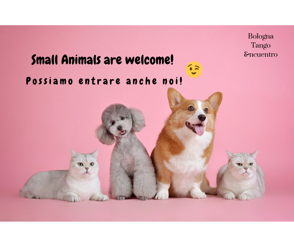 Small Animals are welcome!